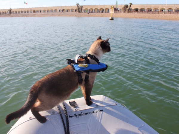 Bailey Boat Cat dinghy ride